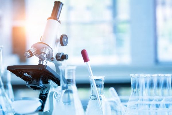Diagnostic Laboratory Software